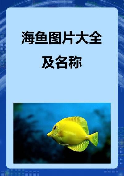 海魚圖片大全，高清海魚圖片大全，