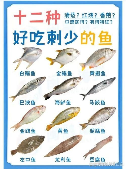 海魚圖片大全，高清海魚圖片大全，