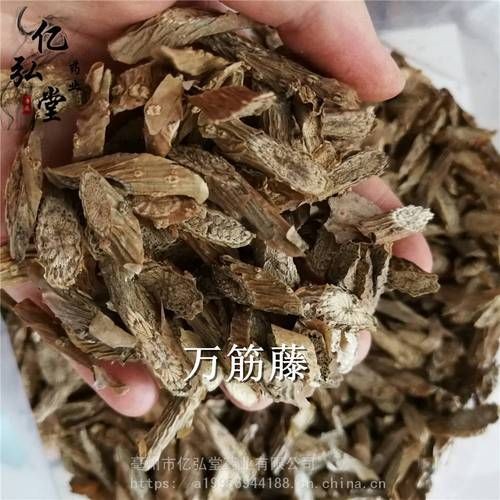 莖上長硬筋的圖片，莖部硬筋特征高清實