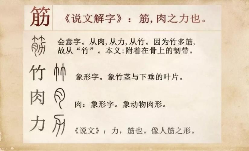 莖上長硬筋的圖片，莖部硬筋特征高清實