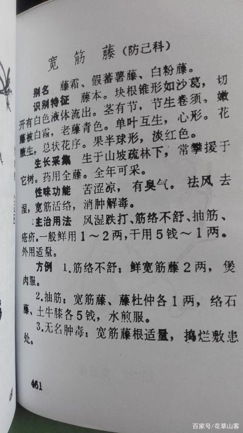 莖上長硬筋的圖片，莖部硬筋特征高清實