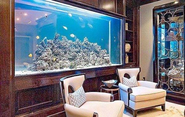 屬龍養魚養幾條最好，屬龍人養魚吉數解析，招財納福的最佳條數指南