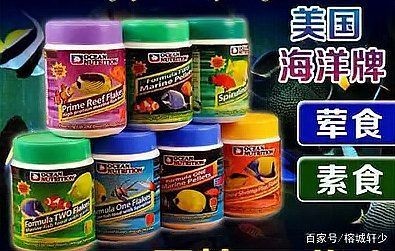 海水魚糧十大排行榜，2025權威盤點，海水觀賞魚糧