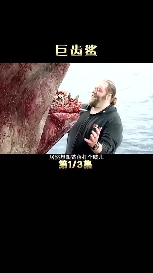 巨齒鯊吃掉大白鯊圖片，驚爆！巨齒鯊獵殺大