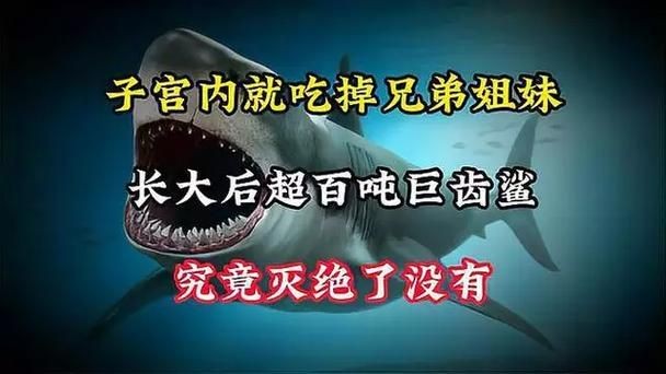 巨齒鯊吃掉大白鯊圖片，驚爆！巨齒鯊獵殺大