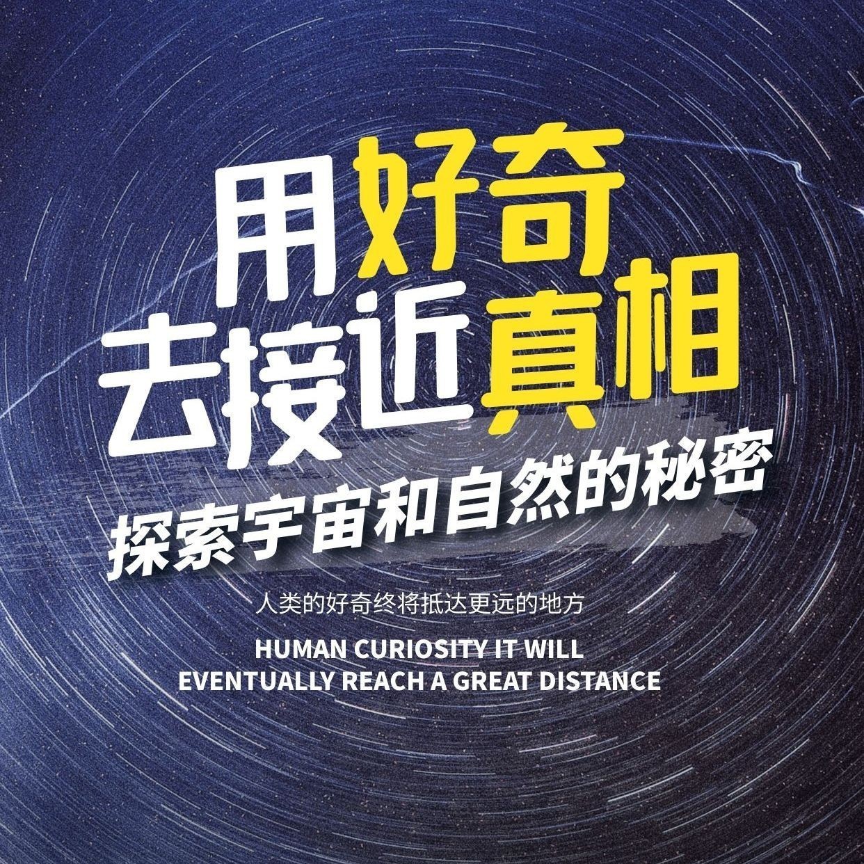 海象壽命一般多少年，揭秘海象壽命，平均生存年限