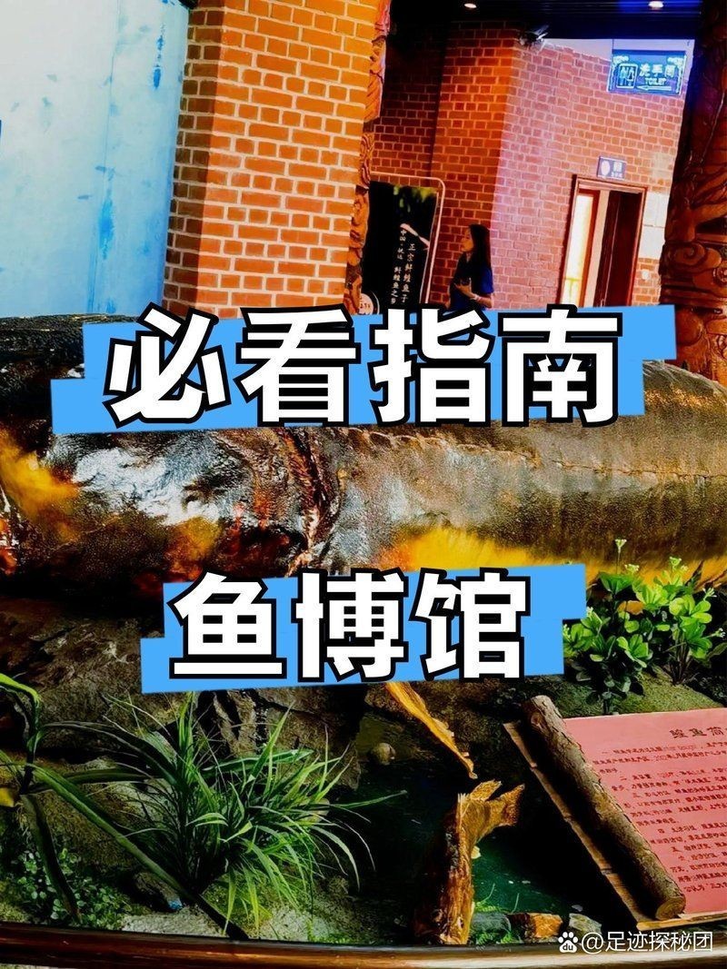 佳木斯水族店，佳木斯人氣水族店｜觀賞魚/器材/造景一站式購齊！