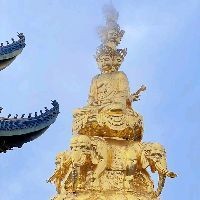 家里有老鼠怎么趕走，家庭滅鼠實(shí)用妙招，快速趕走老鼠的有效方法 家里有老鼠怎么趕走，家庭滅鼠實(shí)用妙招，快速趕走老鼠的有效方法 龍魚論壇 第2張