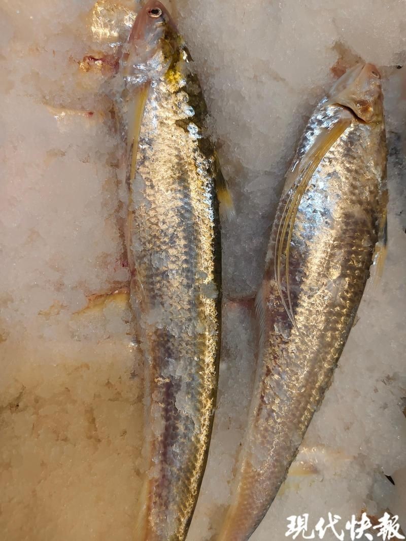 海刀魚110元一斤正常么，海刀魚標價110元/斤引熱議，市場價格究竟