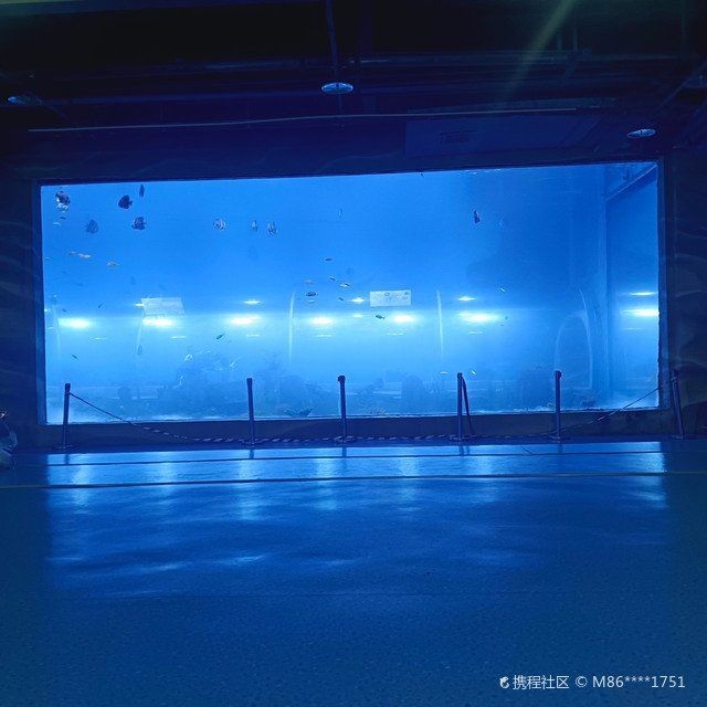 南陽水族店，南陽專業水族店｜觀賞魚/器材/造景一站式
