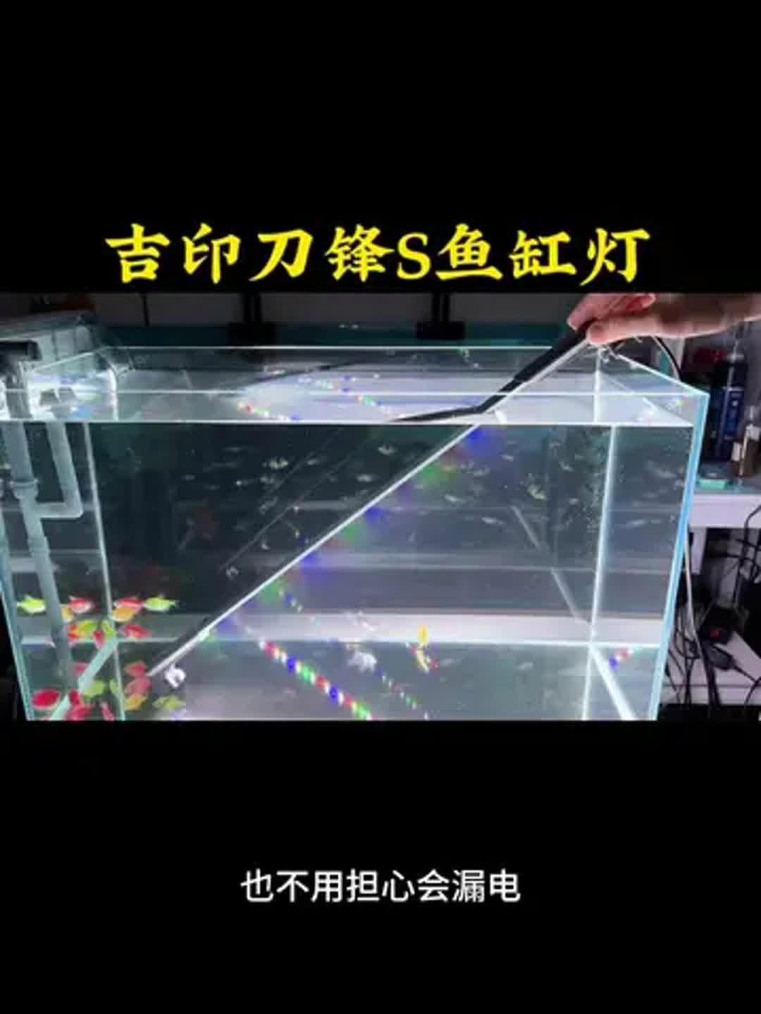 吉印魚缸燈怎么樣，實測揭秘吉印魚缸燈真實表現如何？光照效果/安全性/