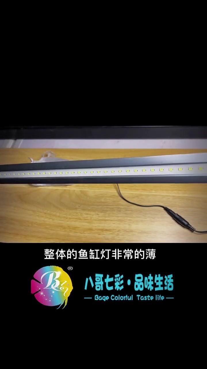 吉印魚缸燈怎么樣，實測揭秘吉印魚缸燈真實表現(xiàn)如何？光照效果/安全性/