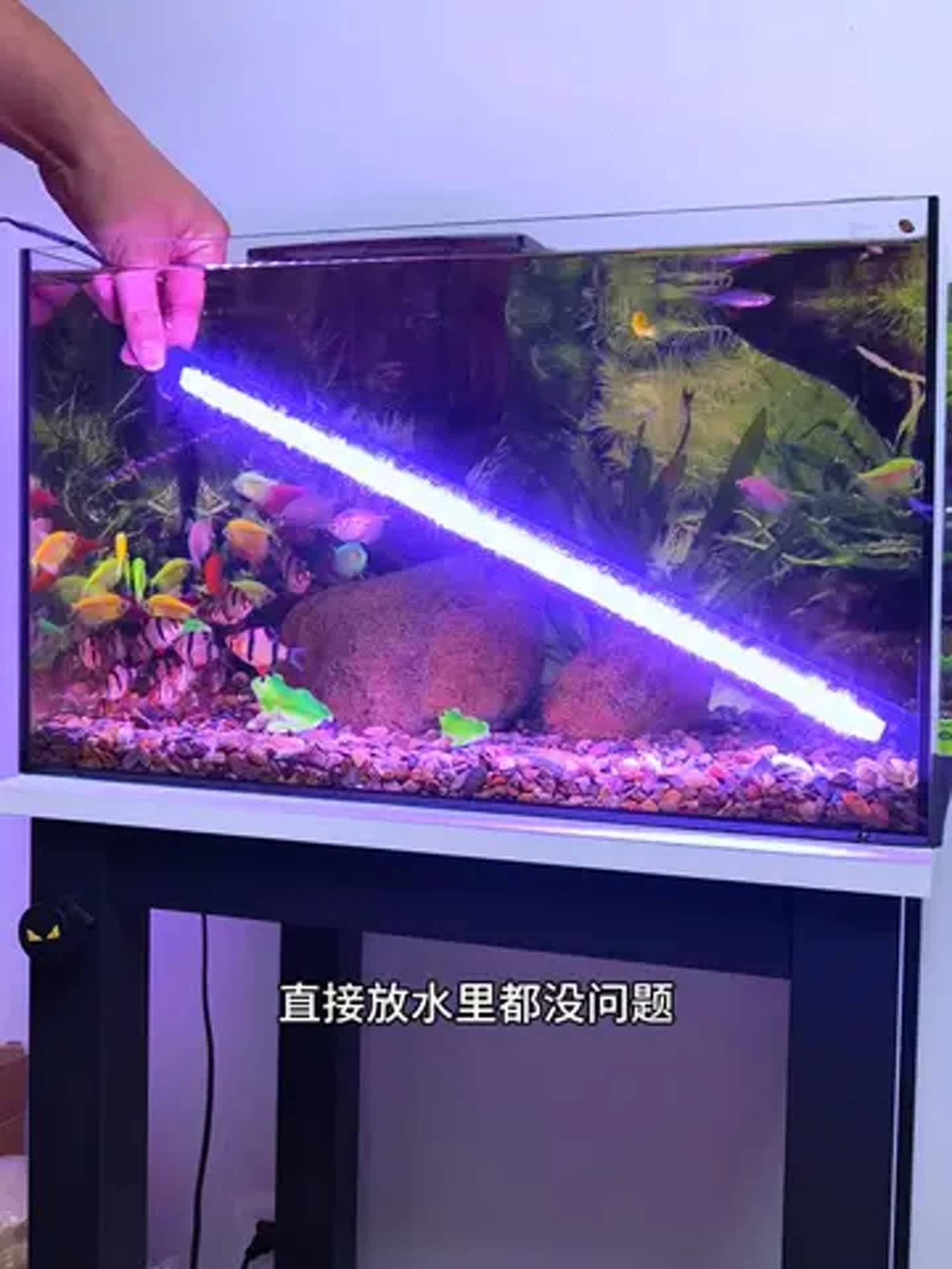 吉印魚缸燈怎么樣，實測揭秘吉印魚缸燈真實表現如何？光照效果/安全性/