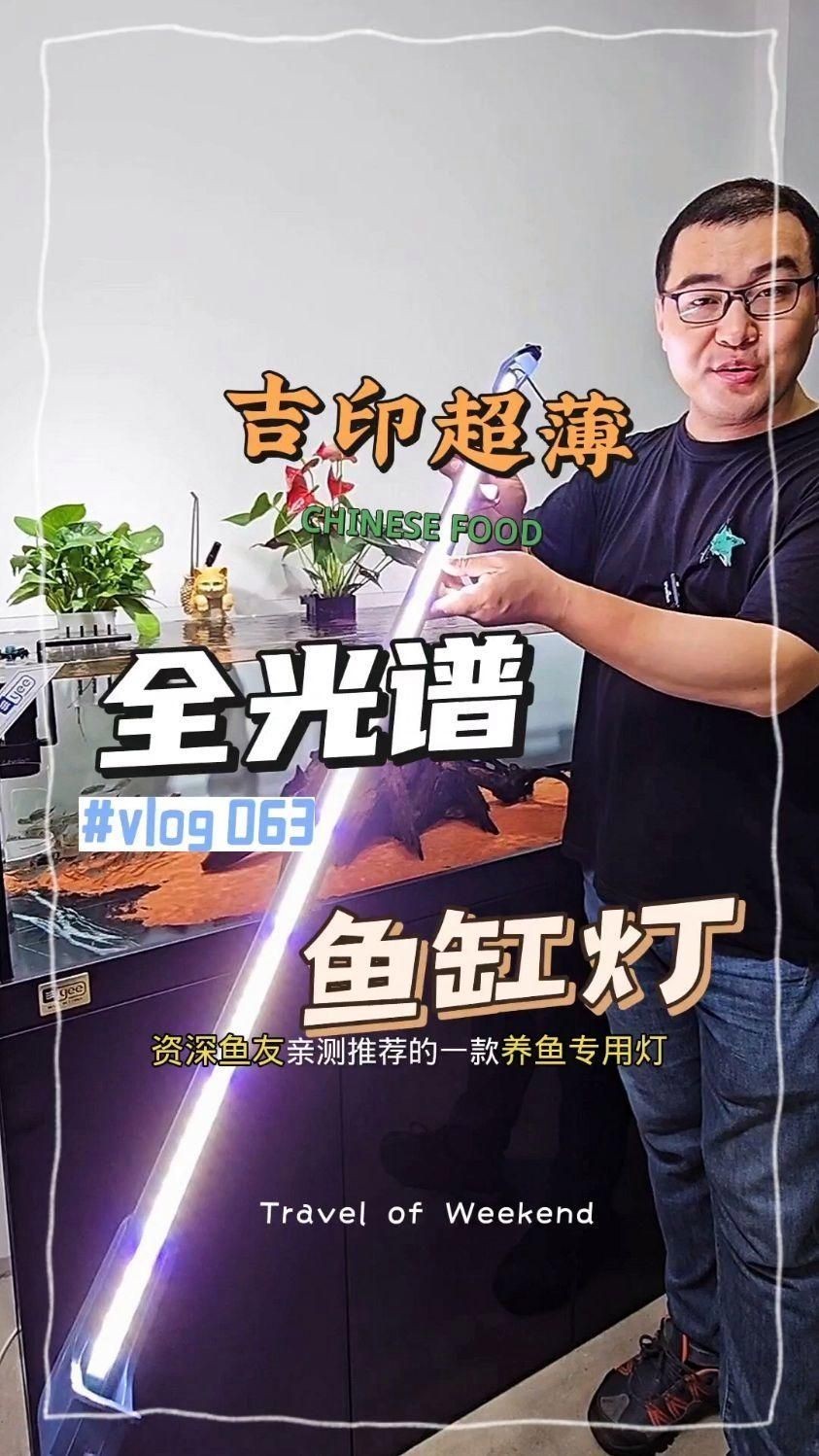 吉印魚缸燈怎么樣，實測揭秘吉印魚缸燈真實表現如何？光照效果/安全性/