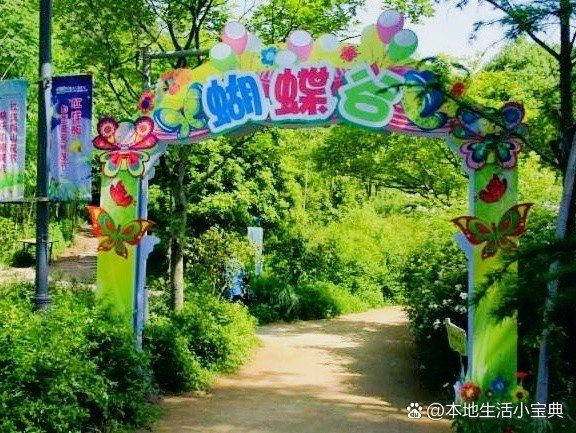荊門花博園水上樂園門票價格，荊門花博園水上樂園門票價格