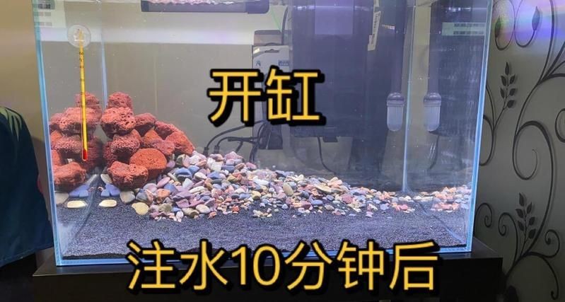 吉印魚缸水族箱使用步驟詳解，吉印魚缸/水族箱新手必看，超全