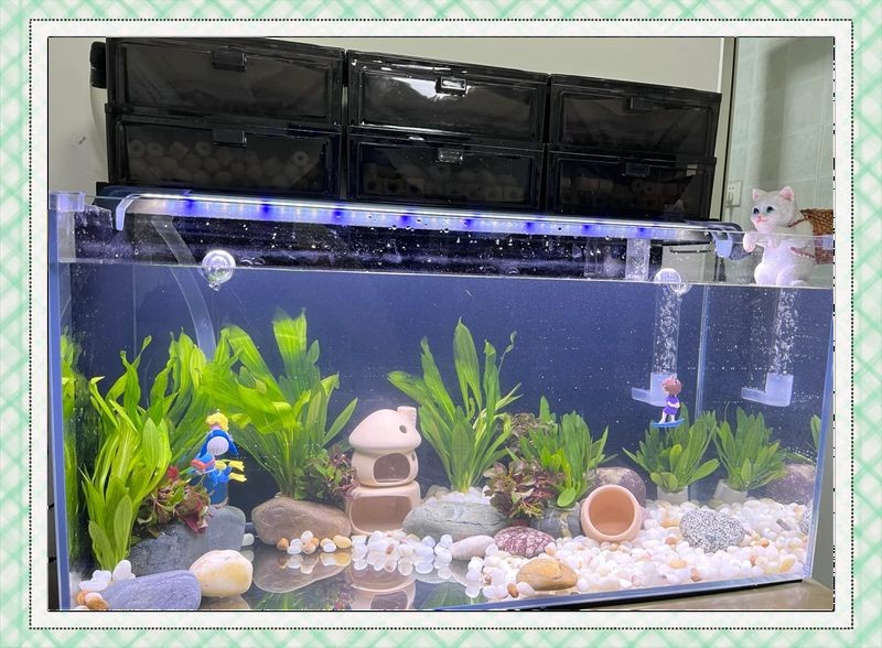 吉印魚缸水族箱使用步驟詳解，吉印魚缸/水族箱新手必看，超全
