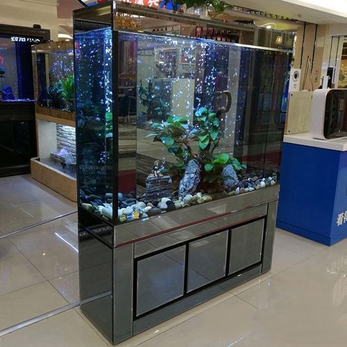 家庭魚缸圖片大全，家庭魚缸實(shí)景高清精選圖片