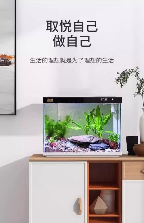 家庭魚缸圖片大全，家庭魚缸實(shí)景高清精選圖片