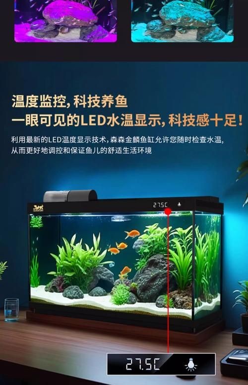 家庭魚缸圖片大全，家庭魚缸實(shí)景高清精選圖片