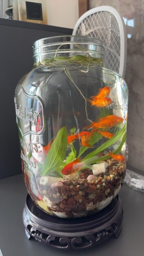 家庭魚缸圖片大全，家庭魚缸實(shí)景高清精選圖片