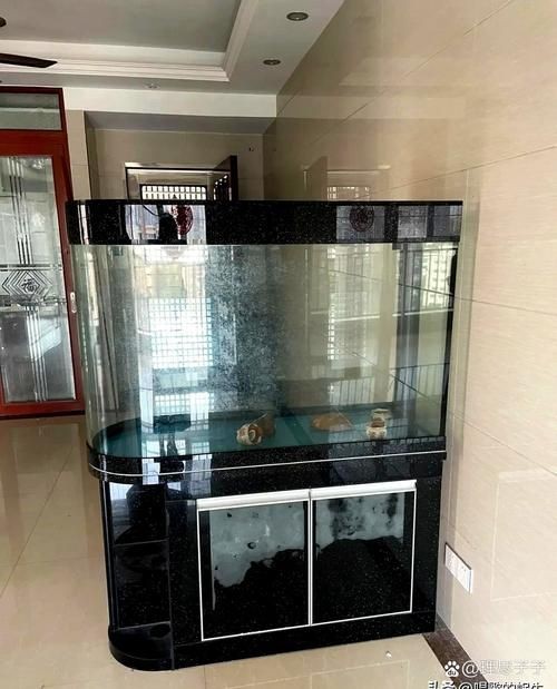 家庭魚缸圖片大全，家庭魚缸實(shí)景高清精選圖片