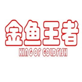 家里養(yǎng)魚的好處，揭秘家中養(yǎng)魚的五大驚喜好處，提升生活品質(zhì)與