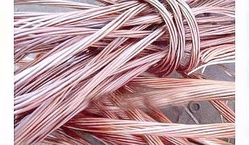舊魚缸回收電話，專業上門舊魚缸
