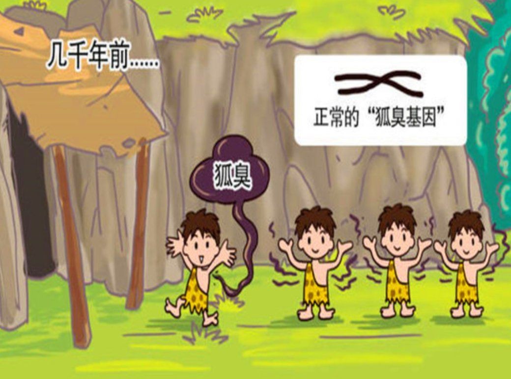 漢族人的狐臭來源于哪個民族，揭秘漢族狐