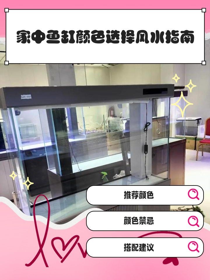 九鼎魚缸最建議買的三個顏色，九鼎魚缸TOP3必入配色！這三款高顏值顏色千萬別錯過～