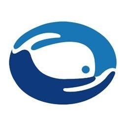 海水魚放在淡水里能活嗎，海水魚突入淡水環境，生存挑戰與科學解析