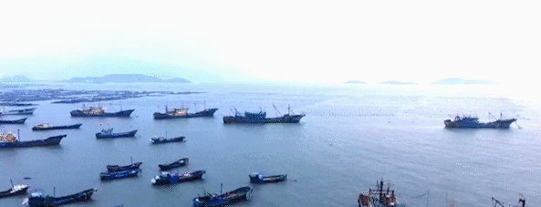 海水魚放在淡水里能活嗎，海水魚突入淡水環境，生存挑戰與科學解析