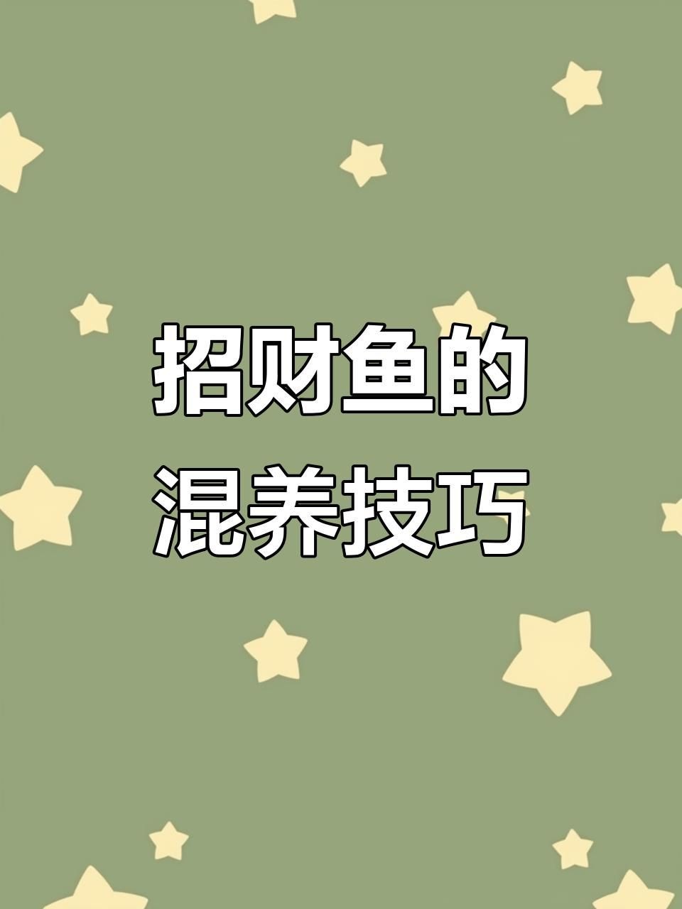 招財和什么魚混養最好，招財魚最佳混養搭檔推薦，這些魚類組合既和諧又旺運