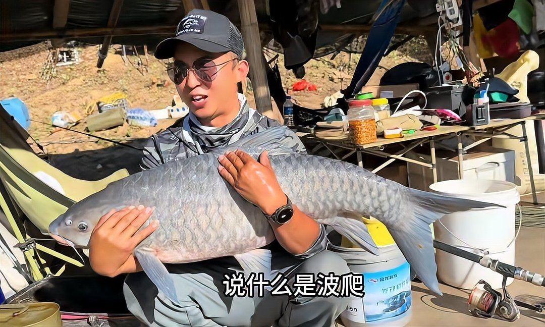河豚跟狗頭魚的區別，河豚與狗頭魚，從外形到習性的全面差異解析