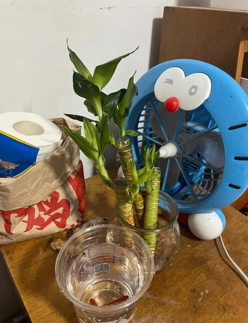 寶雞魚缸批發市場,寶雞專業魚缸批發市場一站式采購 全國水族館企業名錄 第8張 寶雞魚缸批發市場,寶雞專業魚缸批發市場一站式采購 寶雞魚缸批發市場,寶雞專業魚缸批發市場一站式采購 全國水族館企業名錄 第8張