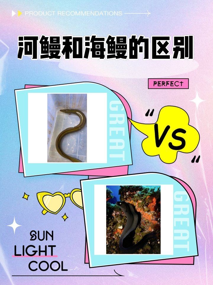 古龍過背金龍魚多久喂一次，古龍過背金龍魚多久換一次水,如何判斷古龍過背金龍魚是否健康