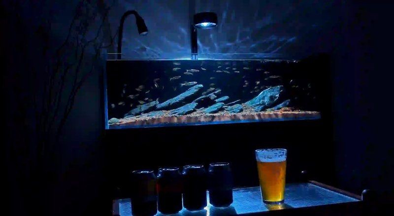 保定魚缸定做，保定專業(yè)魚缸定制——私人訂制高品質(zhì)水