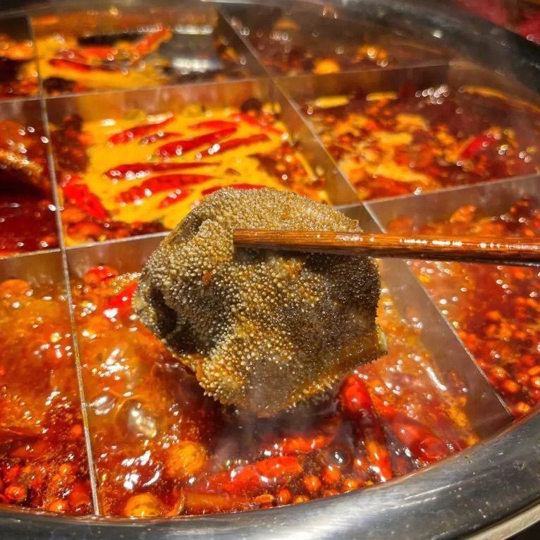 興安盟龍魚店，興安盟專業(yè)龍魚店——精品龍魚繁育與銷售一站式服務(wù) 興安盟龍魚店，興安盟專業(yè)龍魚店——精品龍魚繁育與銷售一站式服務(wù) 全國水族館企業(yè)名錄 第4張
