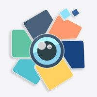 海豚為什么會救人，揭秘海豚救人，海洋精靈的善意