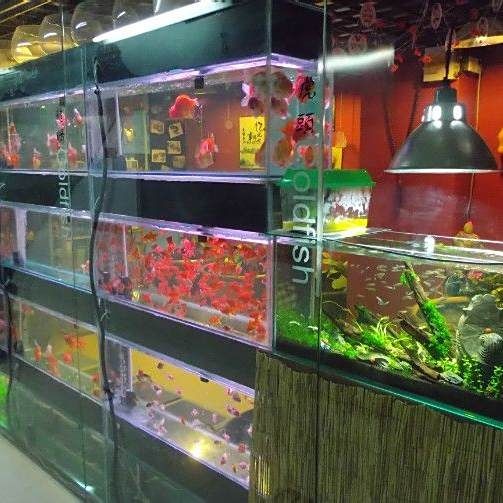 北京魚缸批發市場，北京專業魚缸批發市場大全