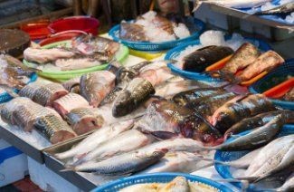 活魚批發進貨渠道，揭秘優質活魚批發進貨渠道