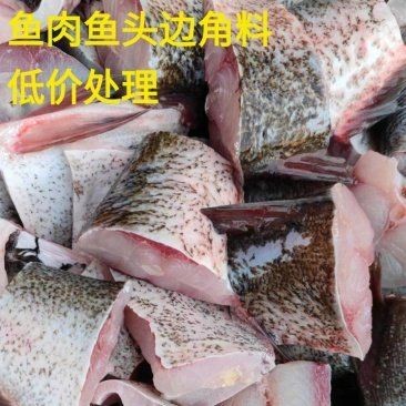 活魚批發2元左右一斤，超低價直供鮮活現撈！活魚批發驚爆價僅約2