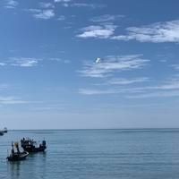 廣東常見魚一覽表,廣東常見淡水 龍魚論壇 第2張 廣東常見魚一覽表,廣東常見淡水 廣東常見魚一覽表,廣東常見淡水 龍魚論壇 第2張