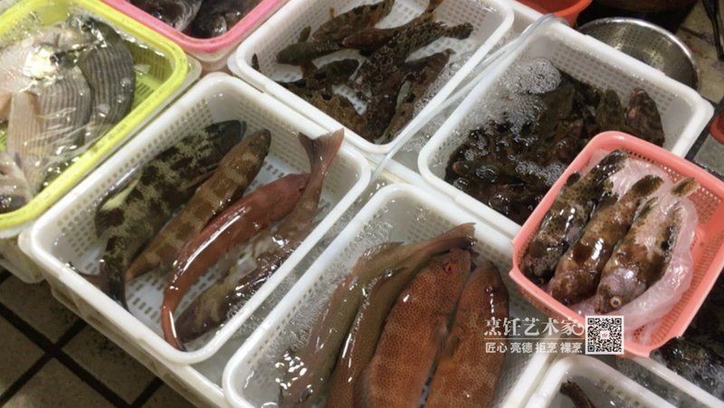 廣東常見魚一覽表,廣東常見淡水 龍魚論壇 第5張 廣東常見魚一覽表,廣東常見淡水 廣東常見魚一覽表,廣東常見淡水 龍魚論壇 第5張