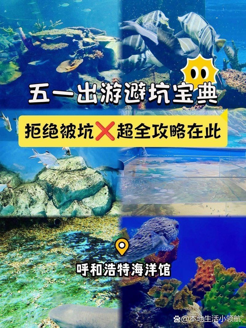 呼和浩特水族館，探秘青城之韻·呼和浩特水族館奇幻