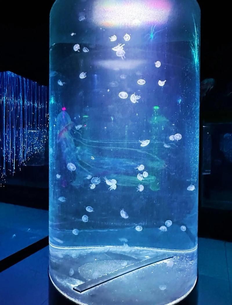 呼和浩特水族館，探秘青城之韻·呼和浩特水族館奇幻