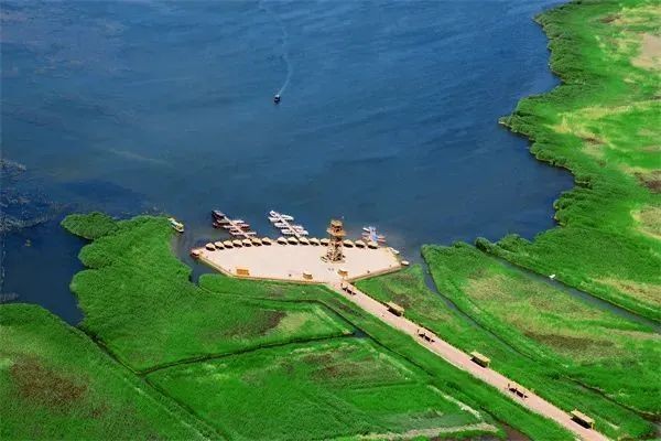 巴音郭楞蒙古自治州水族批發市場，聚焦西域水產樞紐——巴音郭楞蒙古自治州專業水族批發市場