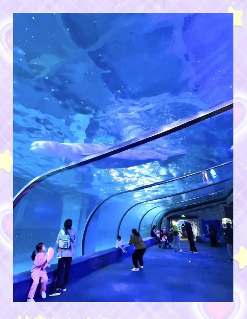 廣州海洋館能玩一天嗎，廣州海洋館一日游全攻略，沉浸式打卡水世界