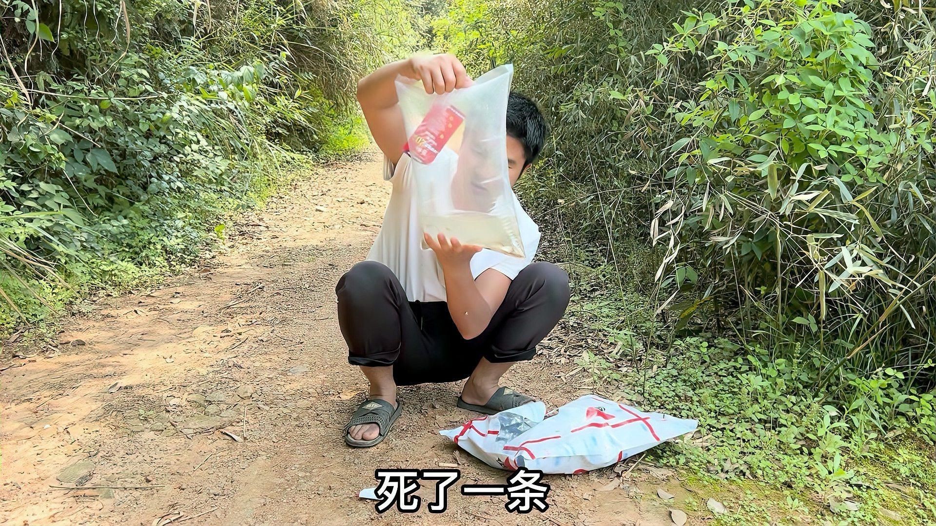 網上買的魚苗能養活嗎，網購魚苗能否成功養活？關鍵養護技巧