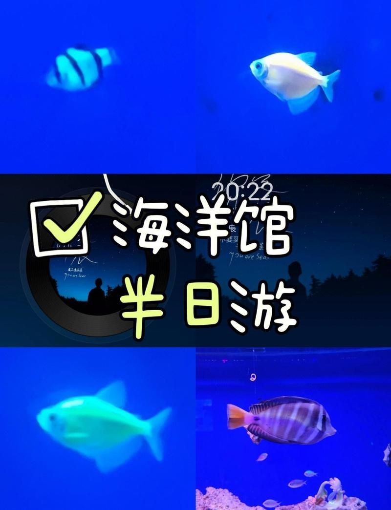 安陽水族店，安陽專業水